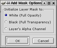 addmaskoptions.jpg